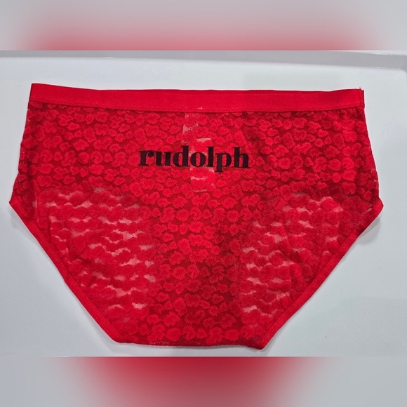 aerie Other - NWT AERIE Boybrief Panties/Underwear Lace RUDOLPH